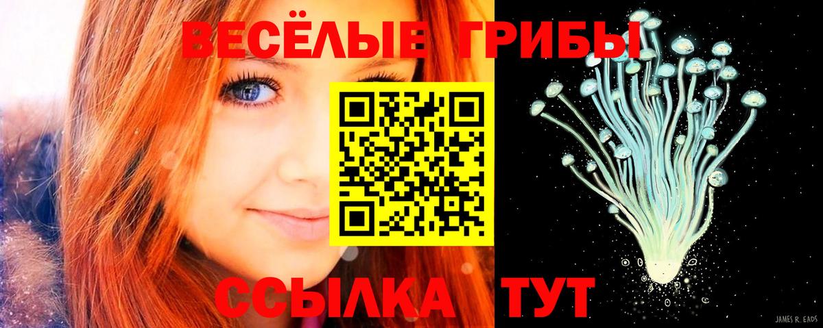 Псилоцибиновые грибы прущие грибы Энгельс